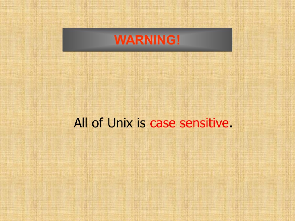 All of Unix is case sensitive. WARNING!Shell Prompt